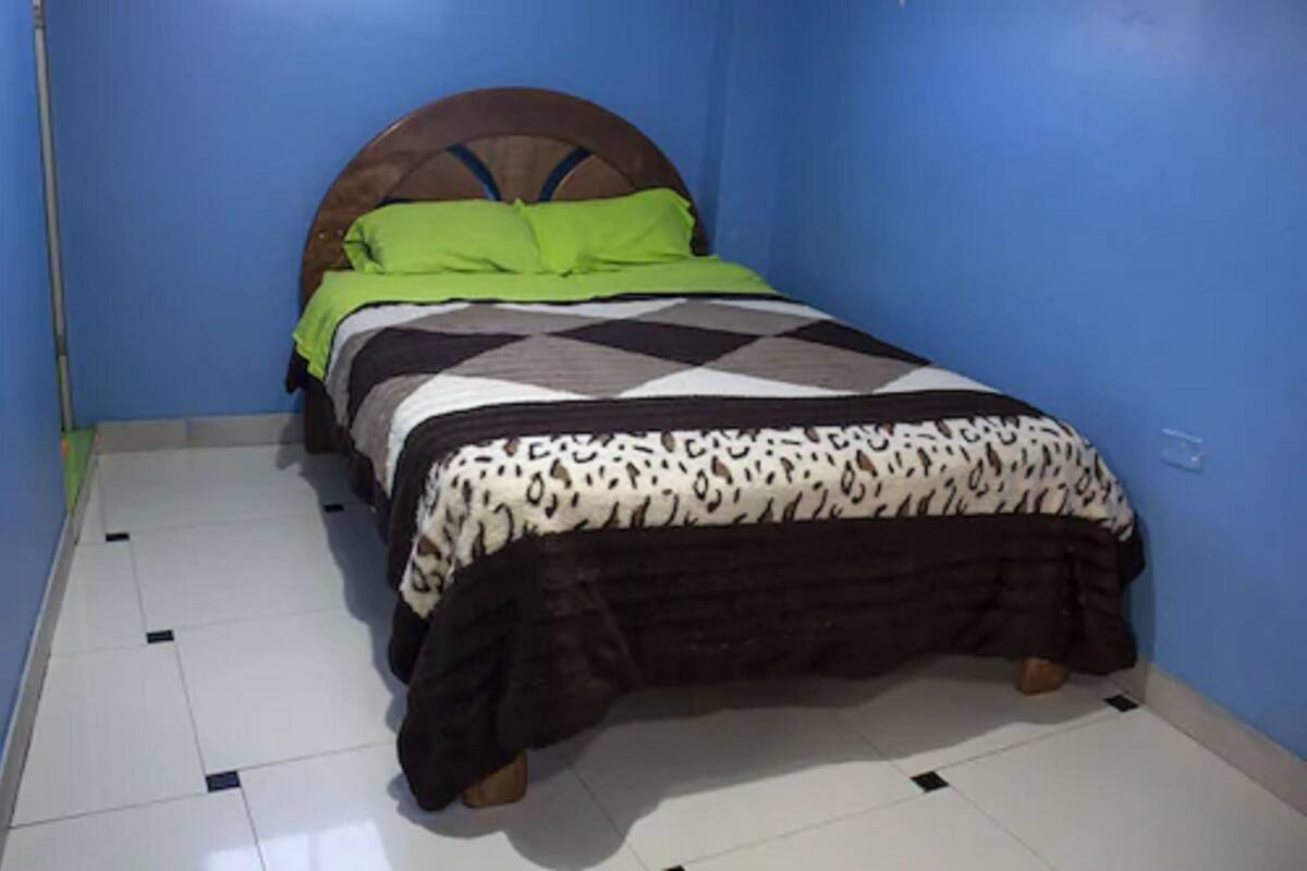 Una cama con colcha estampada y almohadas, cabecera de madera y pared azul.