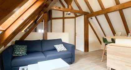 Cozy and charming apartment, 5 mn from city center