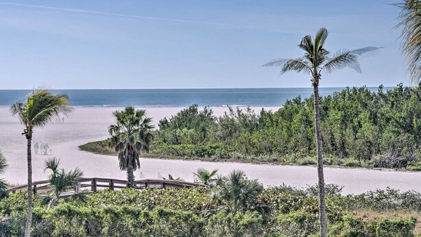 A beach view with a wooden bridge, palm trees, and dense greenery.