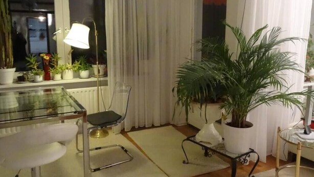 A modern living room with a glass table, white chairs, a potted plant, and a lamp. - Beautiful, quiet apartment in the countryside in Berlin-Steglitz (Berlin)