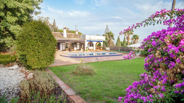 A house with a swimming pool, surrounded by a well-maintained garden and a large bush of purple flowers. - Private Holiday Home in the Countryside (Alhaurín el Grande)