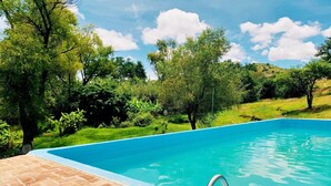 Una piscina con borde de ladrillo y escalera metálica, rodeada de exuberante follaje y árboles.