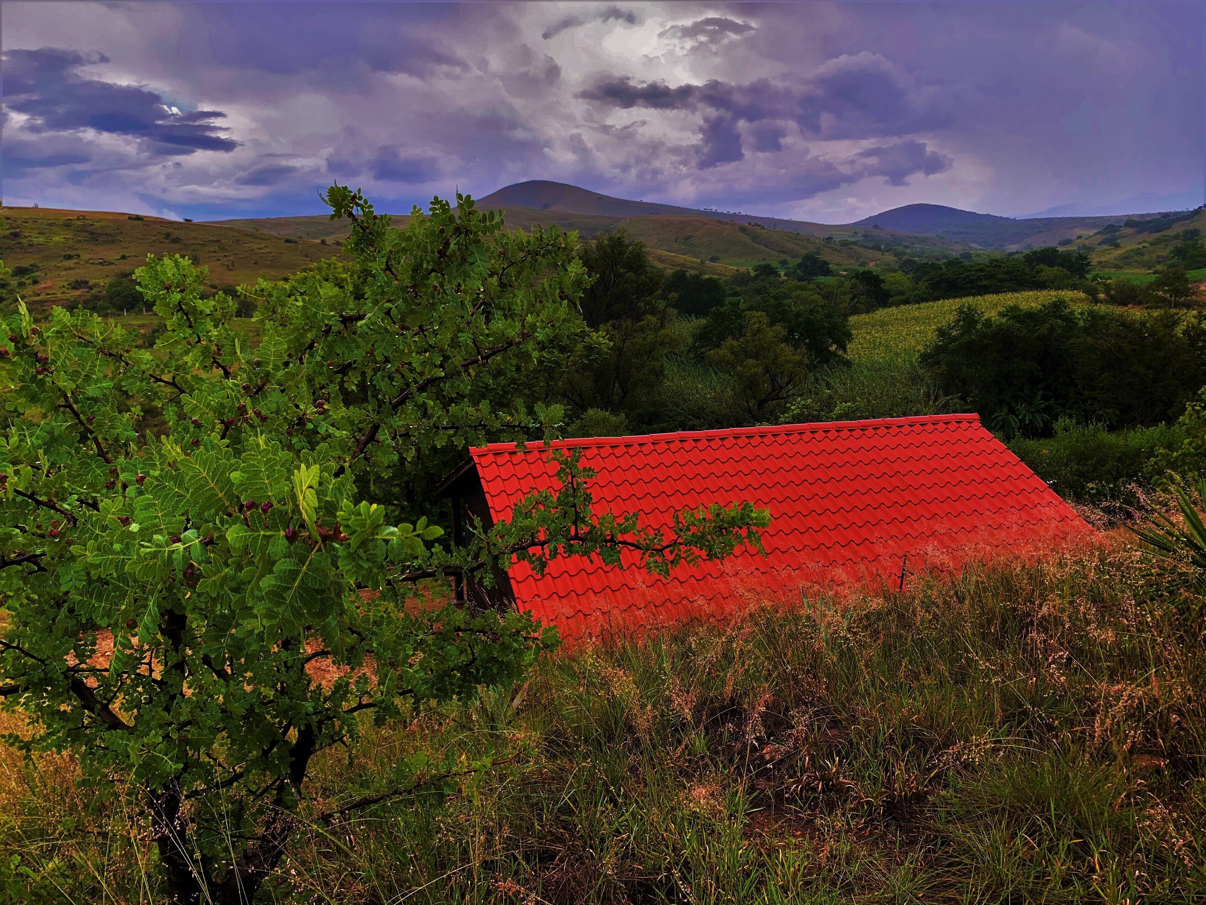 A red-roofed building surrounded by lush greenery and hills in the background.