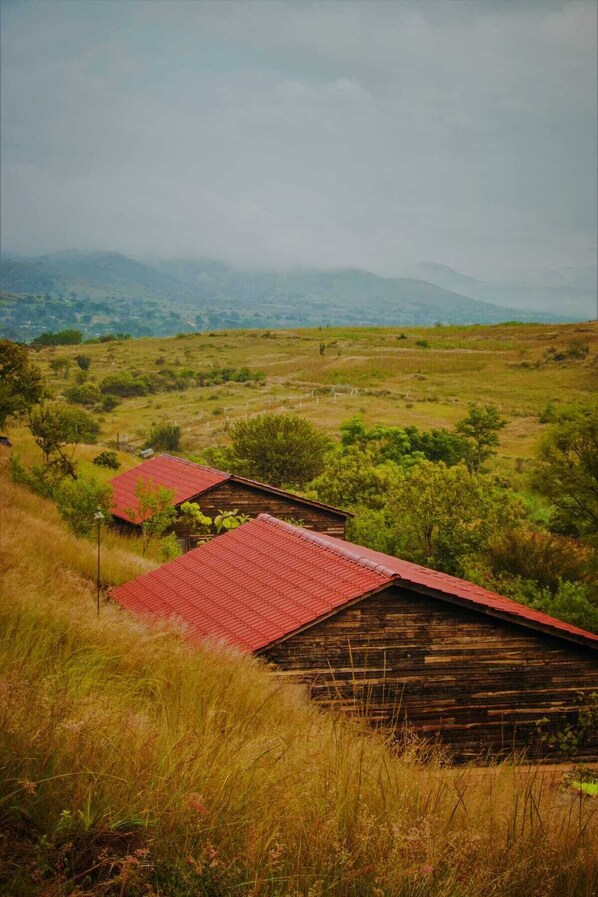 A rustic wooden building with a red roof, surrounded by grassy fields and trees, with a hilly landscape in the background.