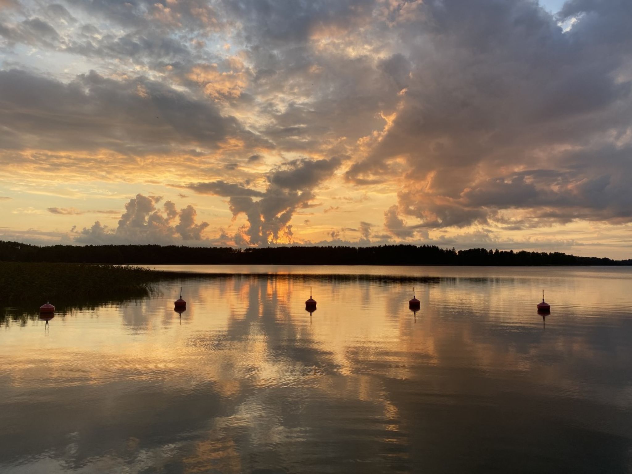 Um lago tranquilo com quatro bóias e um horizonte arborizado ao pôr do sol.