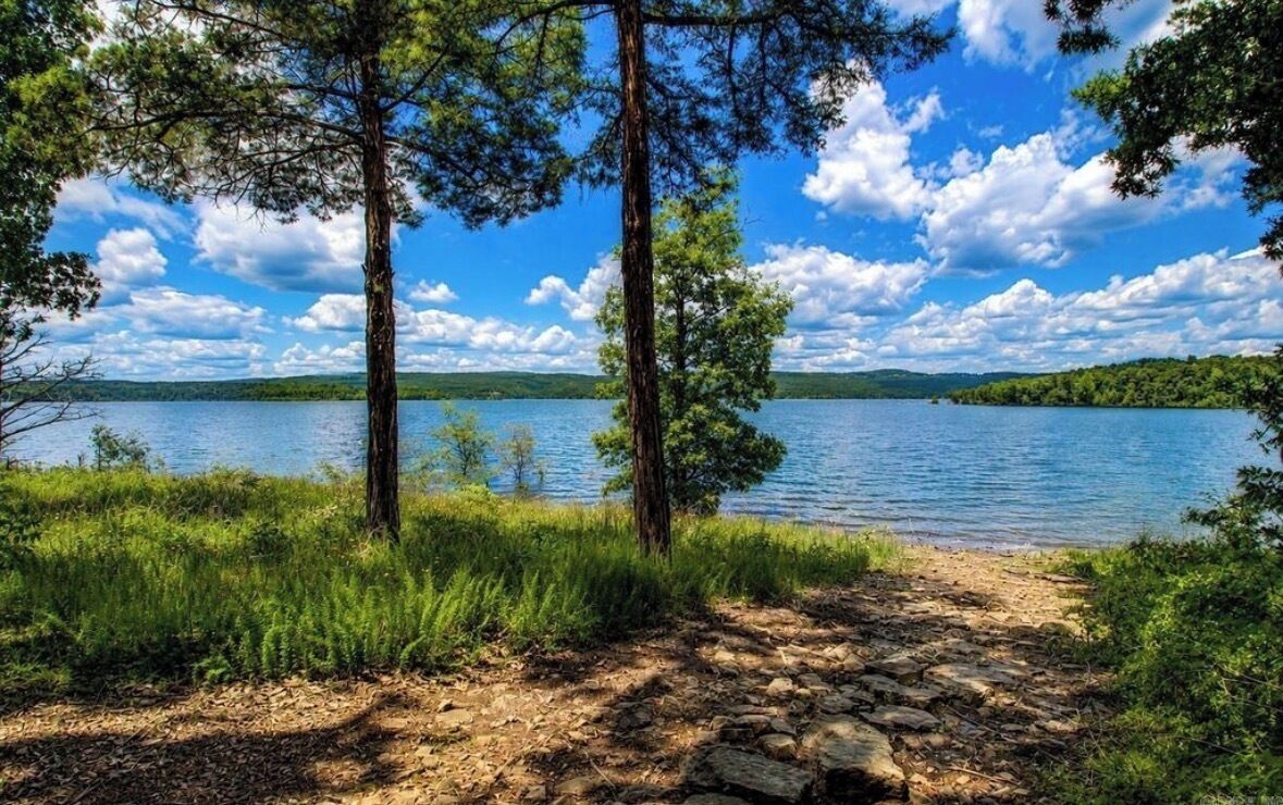 A natural landscape with a lake, trees, and a stone path.