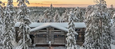 A log cabin surrounded by snow-covered trees.