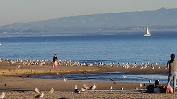 Beach nearby, beach towels