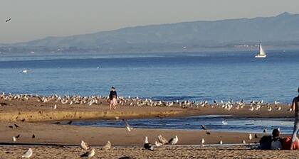 Seaside Sanctuary: Stair-Free 2BR Villa, Ocean Views from 3 Patios