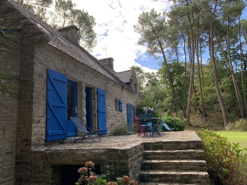 The calm of the forest, a stone's throw from Auray and the beaches
