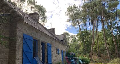 The calm of the forest, a stone's throw from Auray and the beaches