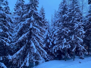 Terrain de l’hébergement