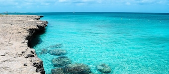 Beach Apartment steps from mangel halto beach