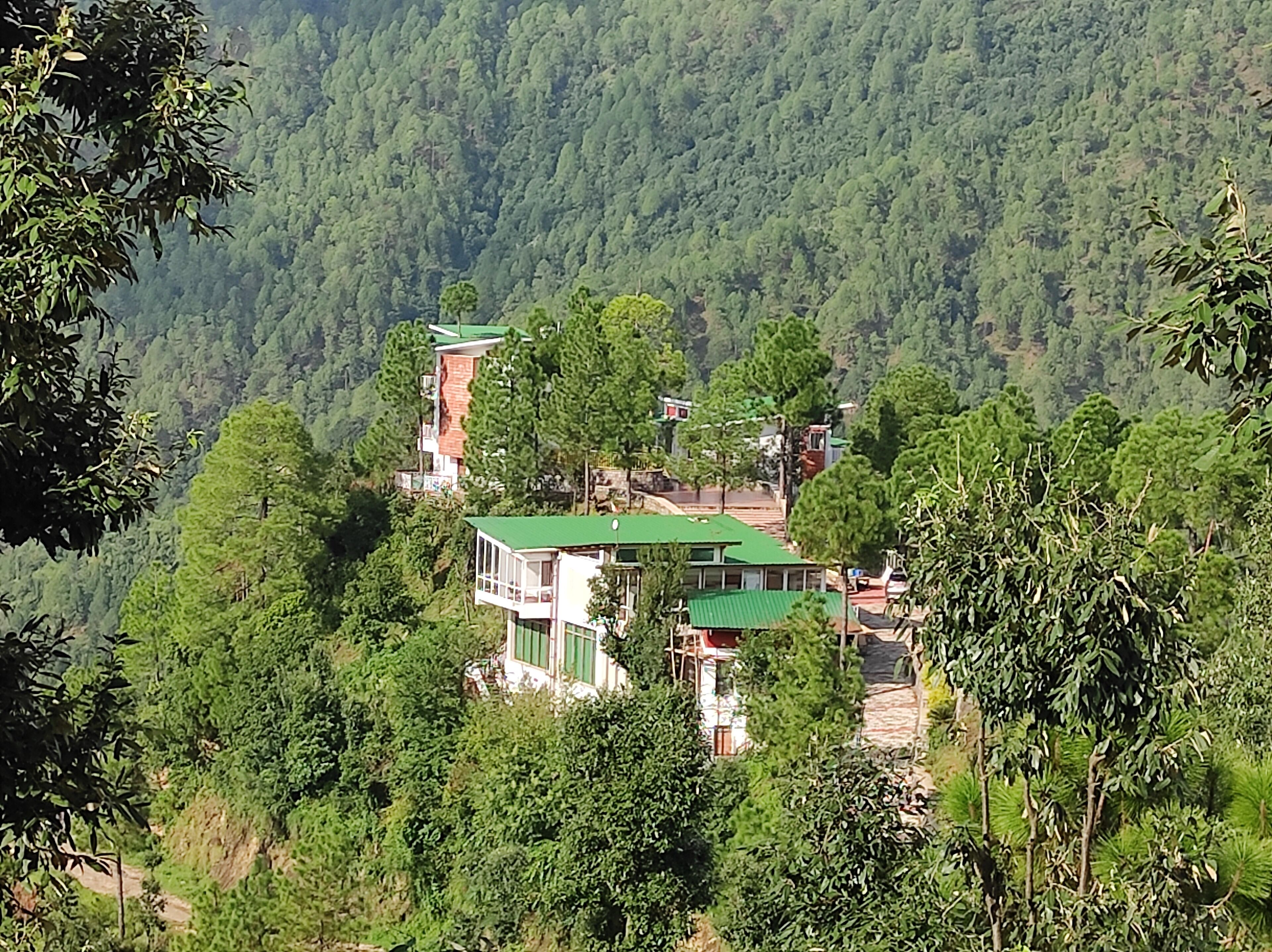A hillside property with a green-roofed building surrounded by dense forest.