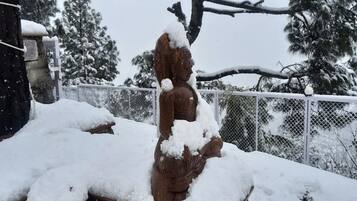 Une statue recouverte de neige, entourée de plantes en pot et d’une structure en pierre.