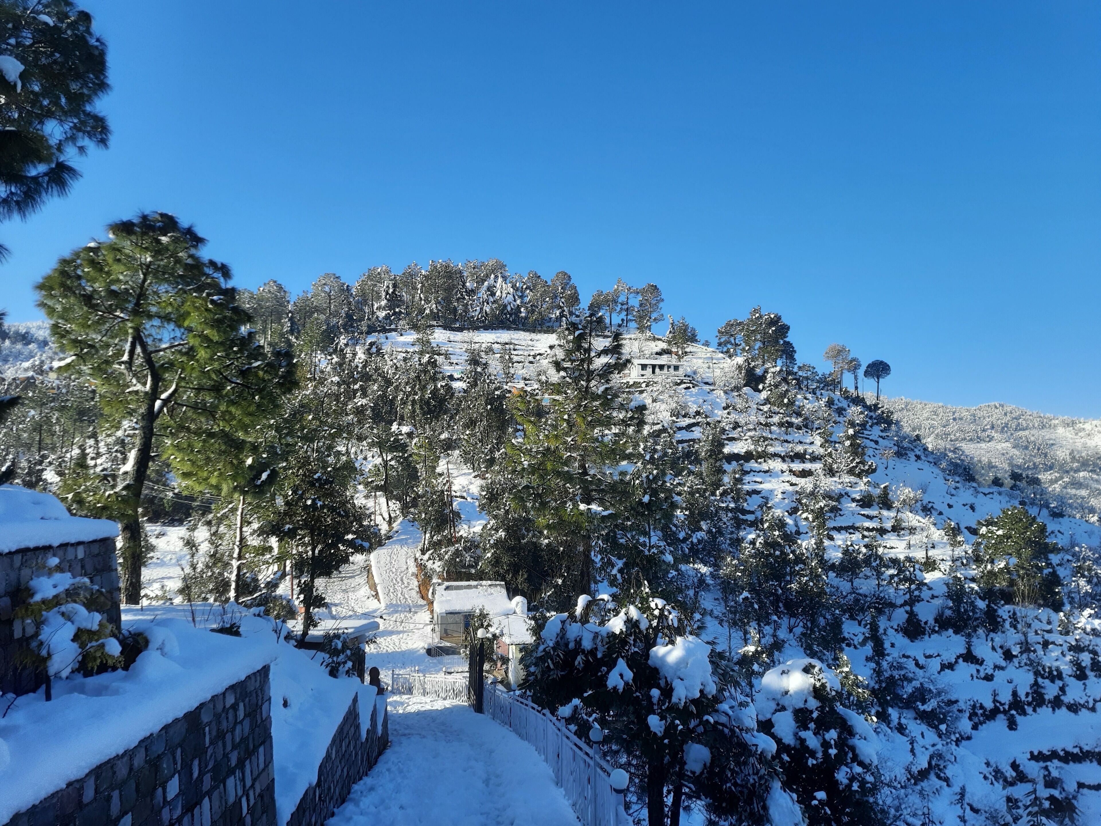 A snow-covered mountain with a clear sky.