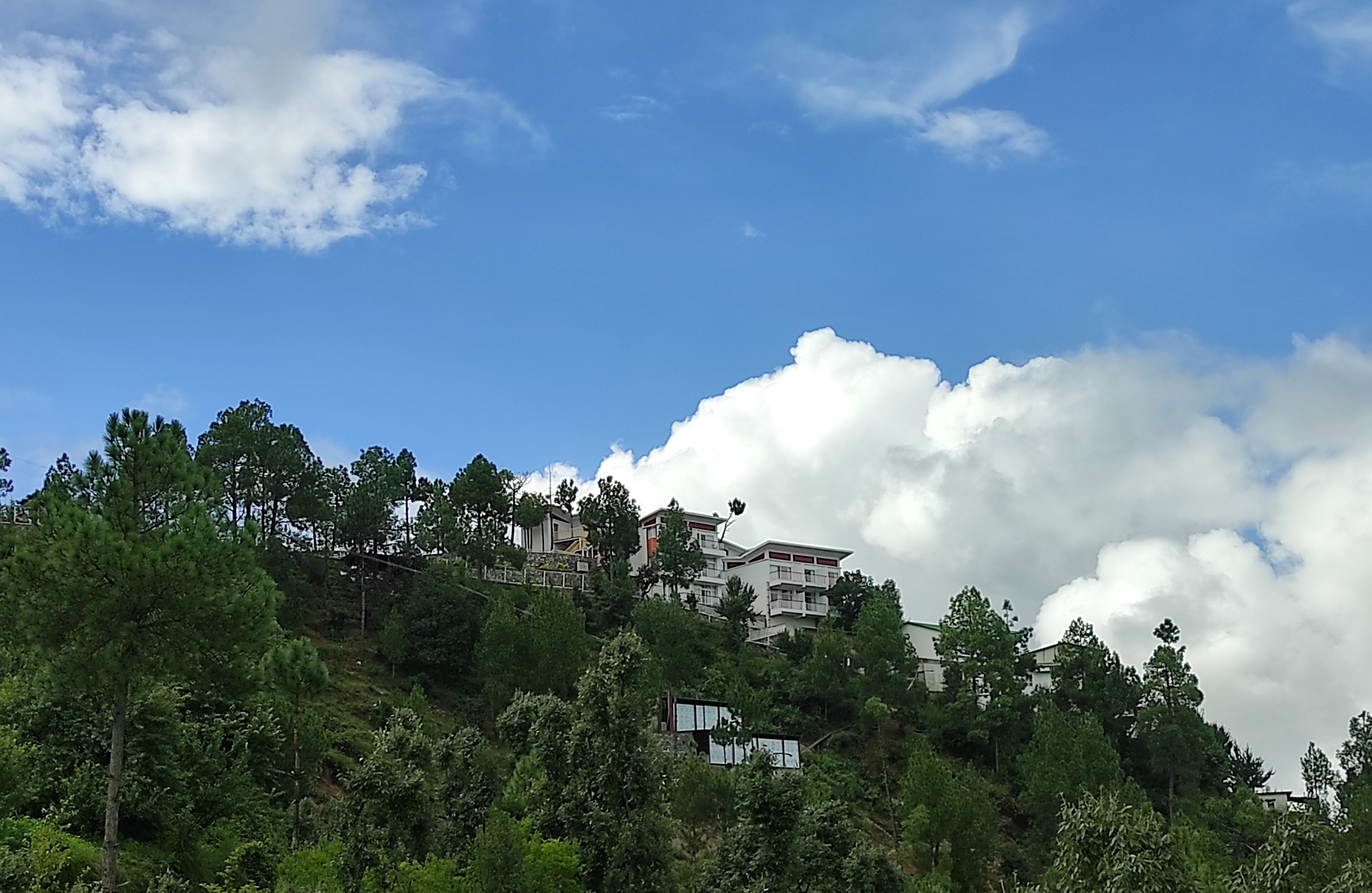 Una zona residencial en una ladera con casas modernas, abundante vegetación y un cielo azul despejado con nubes.