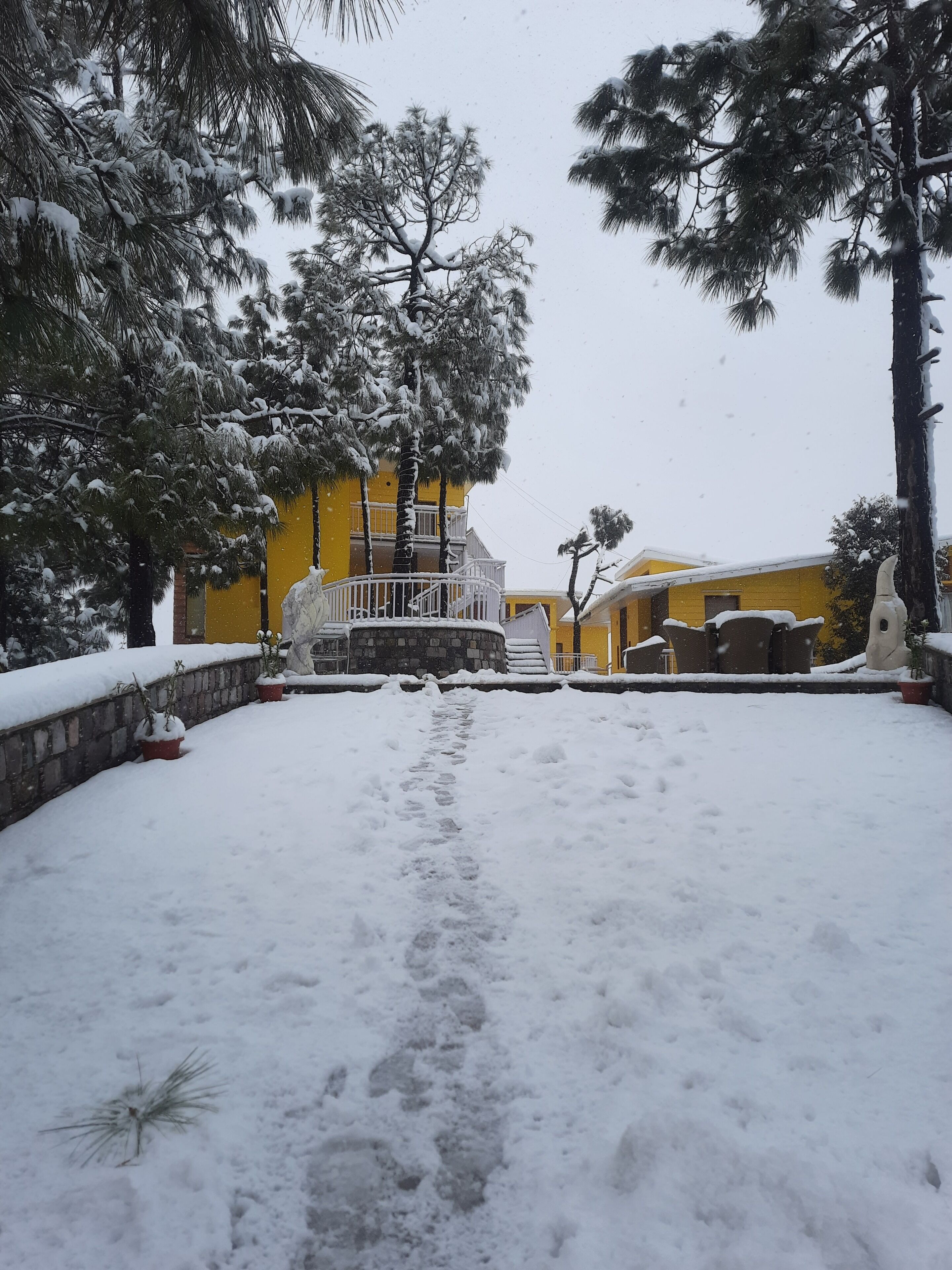 A snow-covered courtyard with a yellow building, stone wall, and potted plants.