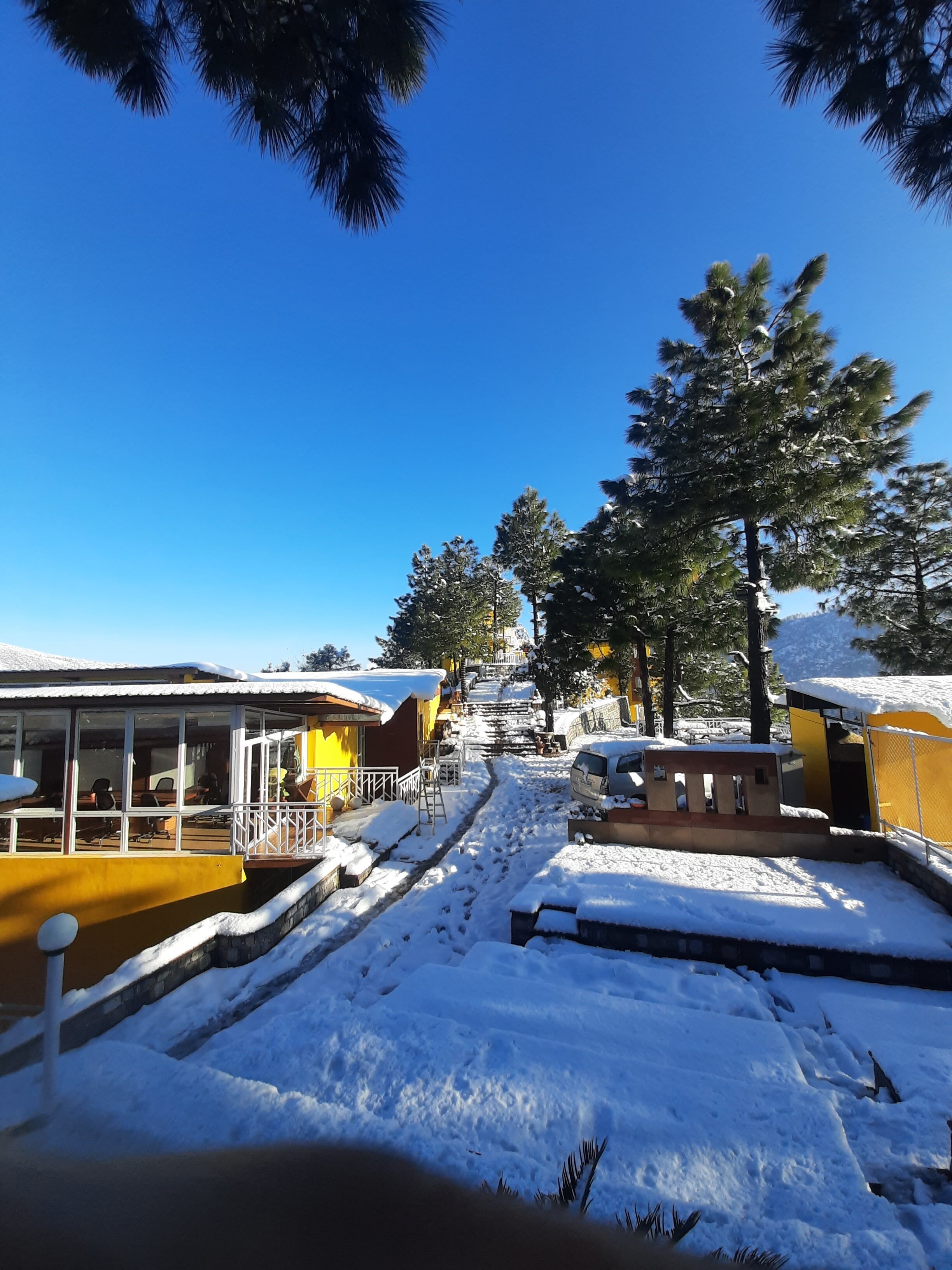 Zona exterior nevada con un edificio amarillo, un camino y árboles.