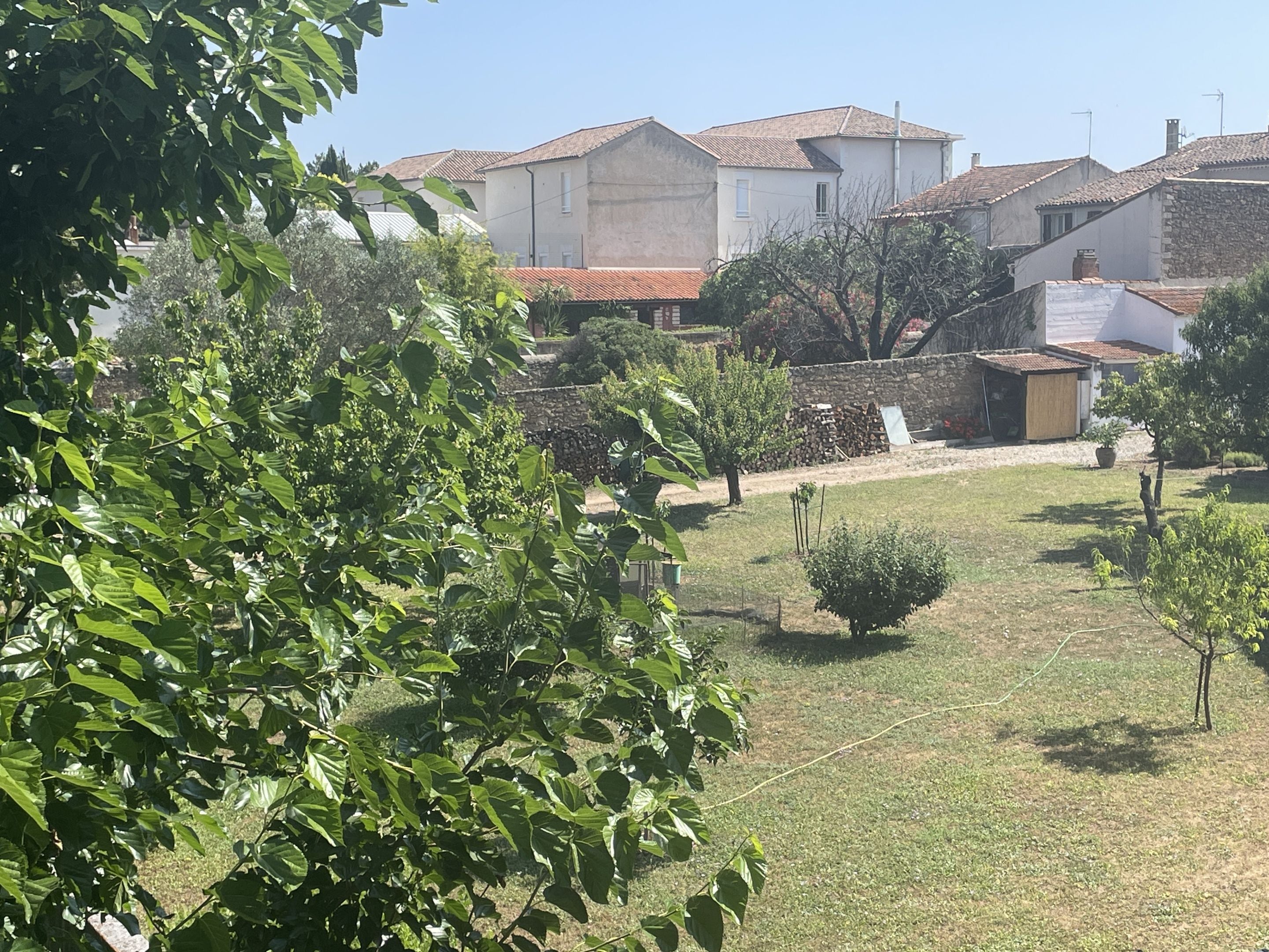 Un quartiere residenziale con case, un giardino erboso e alberi.