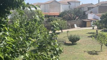 Un quartiere residenziale con case, un giardino erboso e alberi.