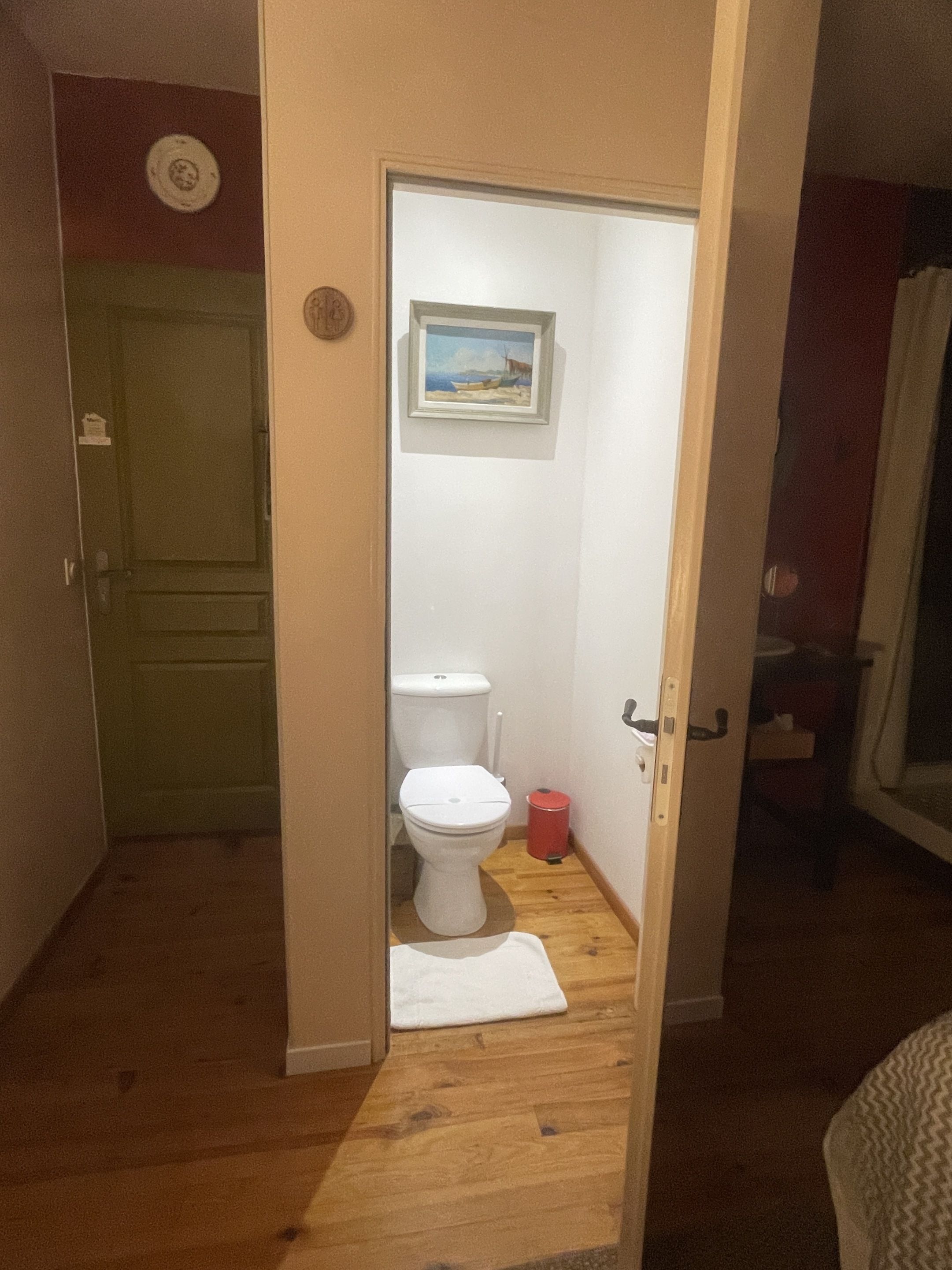 Un corridoio stretto che porta al bagno, dove si trova il water, un cestino e un quadro appeso alla parete.