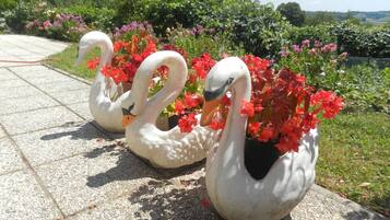 Àrea exterior de l'allotjament