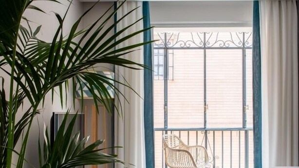A modern living room with a large window, a potted plant, a sofa, and a small table with a vase.