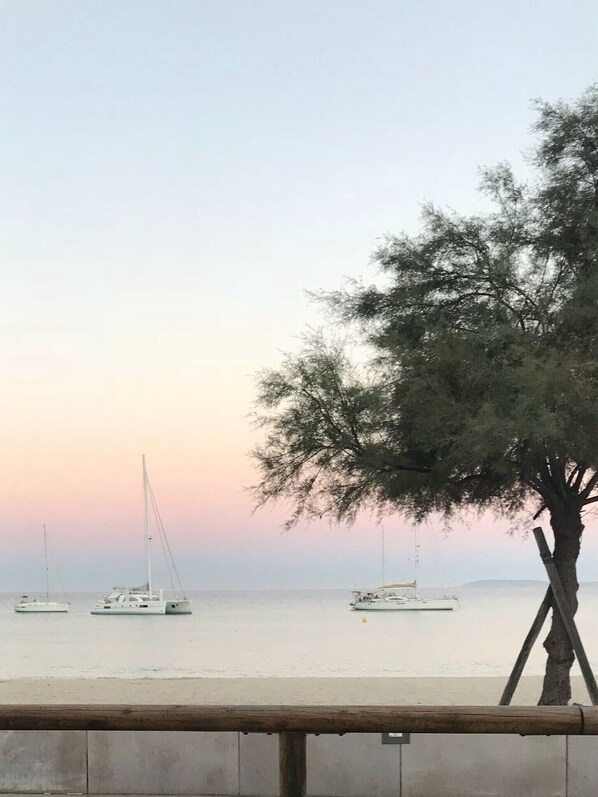 Escena de playa con veleros y un árbol.