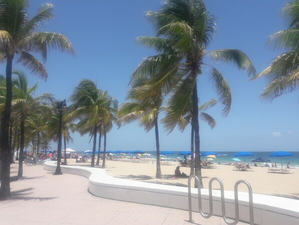 Stroll along the beachside promenade lined with palm trees, leading to a sandy beach area with lounge chairs and umbrellas.