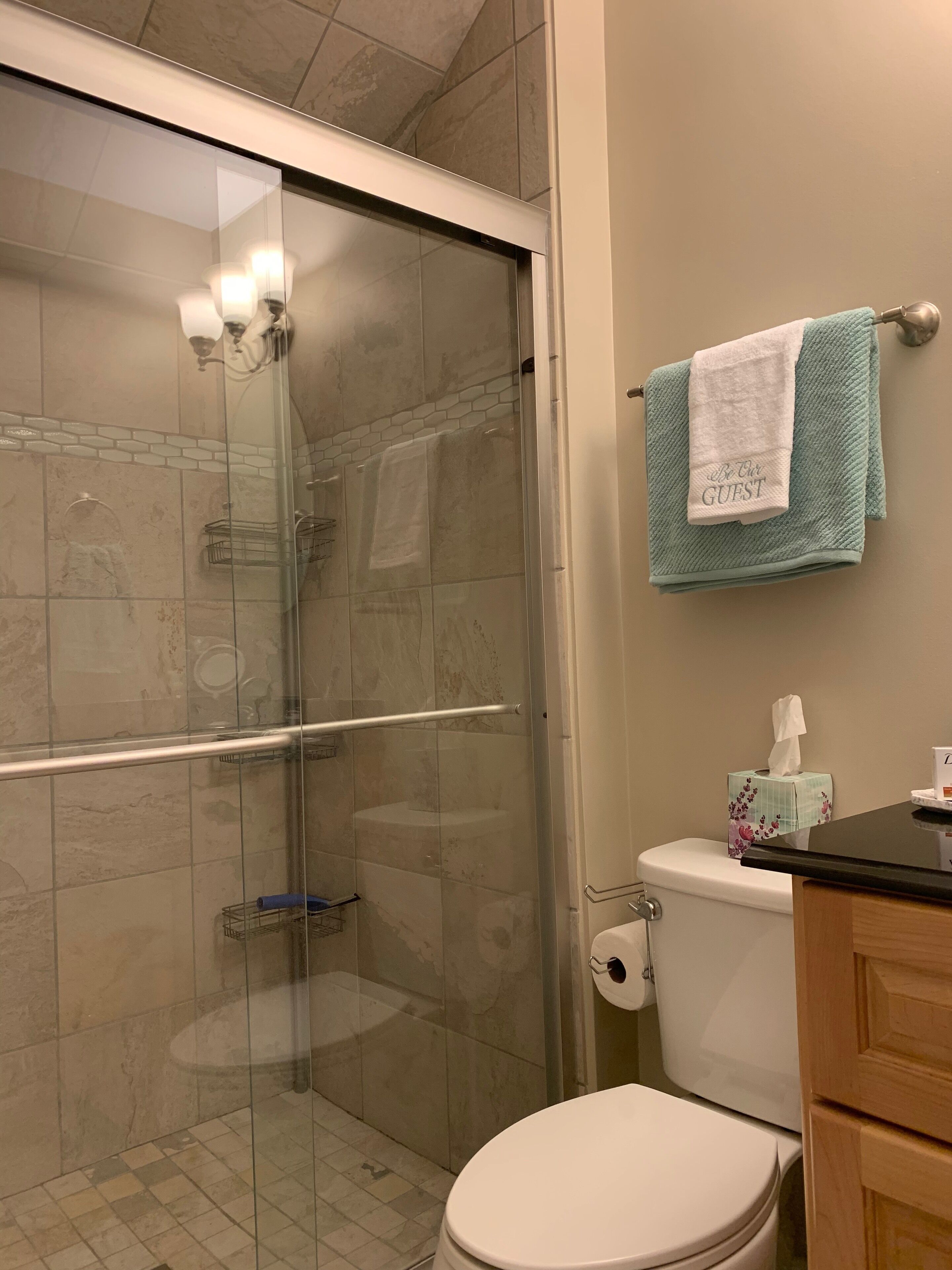 A bathroom with a glass-enclosed shower, a toilet, a towel rack with a teal towel, and a tissue box on the counter.
