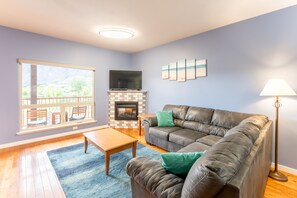 TV connectée, cheminée, lecteur de DVD, livres