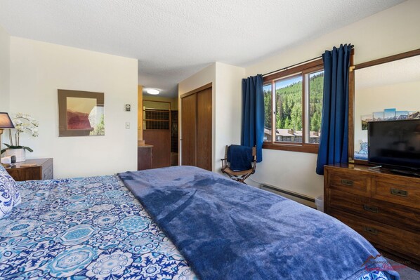 A bedroom with a bed, a dresser, a chair, a television, and a window with curtains. - Great Views, Summer Resort Activities! (Durango)