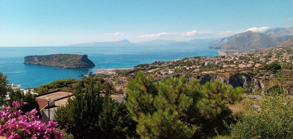 Unclassified image, 1 of 13, button