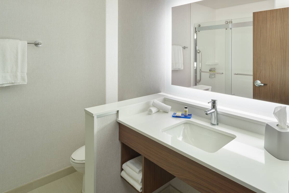 hair dryer, towels, soap, shampoo