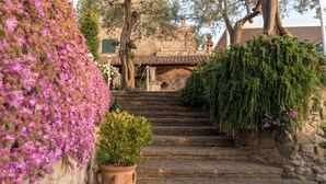 Una escalera de piedra que conduce a un edificio con techo de tejas, rodeado de plantas en flor y árboles.