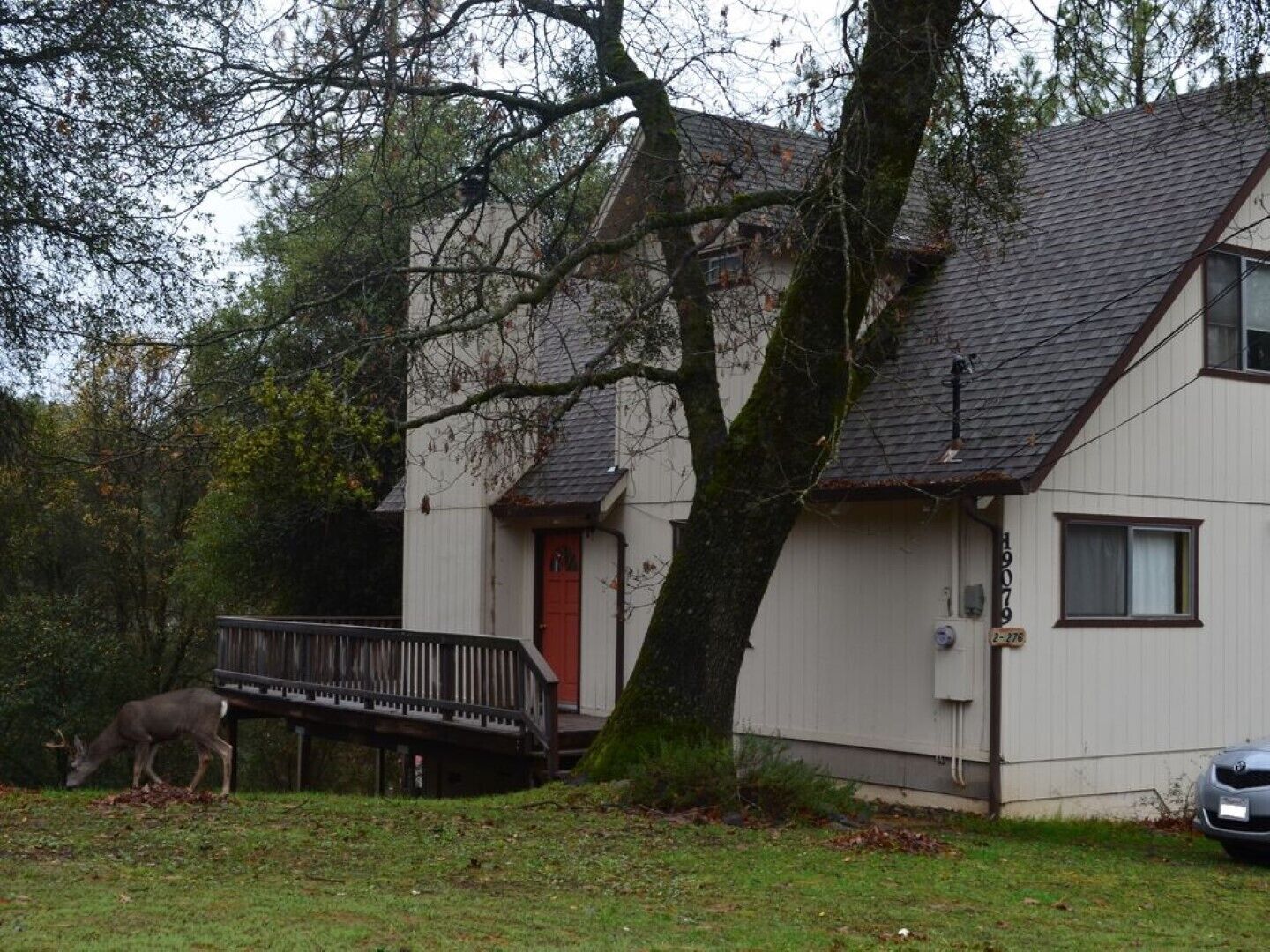 Raboul - Lovely cabin in the Pine Mountain Lake in Yosemite National Park area.