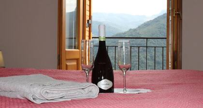 "The House of Elves"