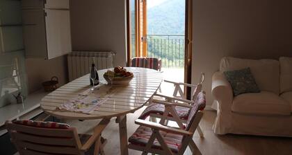 "The House of Elves"