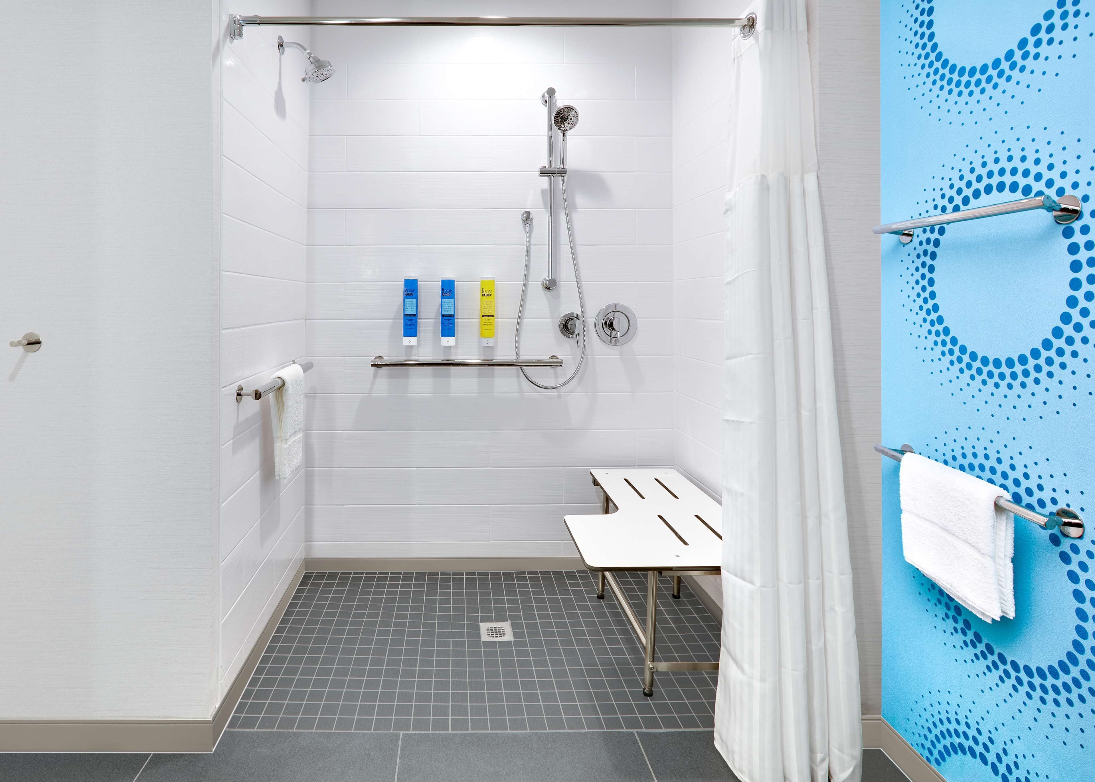 room, 1 king bed, accessible, bathtub | bathroom shower