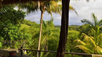 Jardín