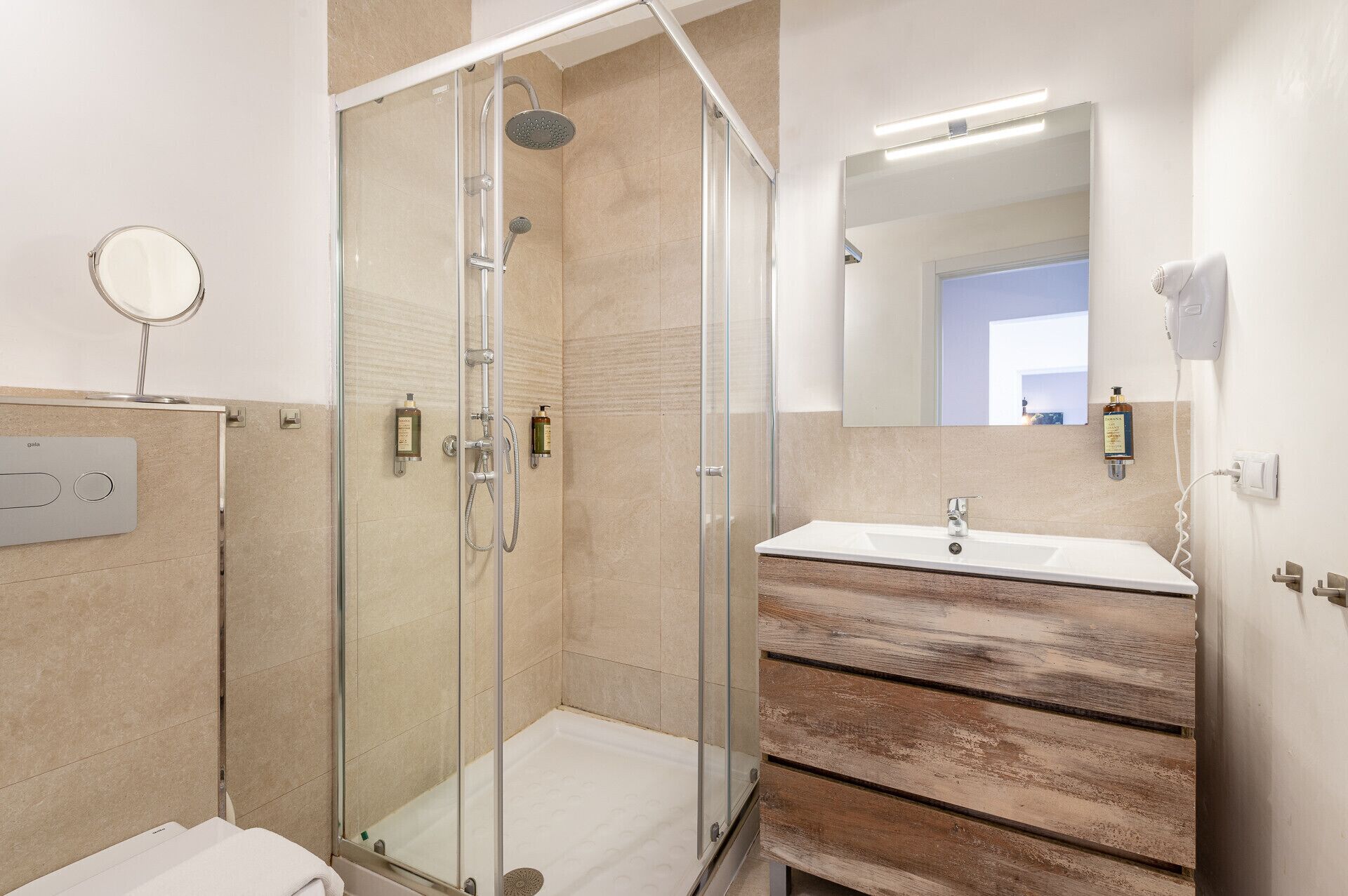 Shower, hair dryer, towels