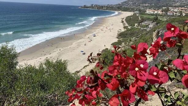 A beach with clear blue water, sandy shore, and red flowers in the foreground. - Panoramic Ocean View-No Stairs-King Bed-Walkin shower, 24hr Manned Sec. Gates (Dana Point)