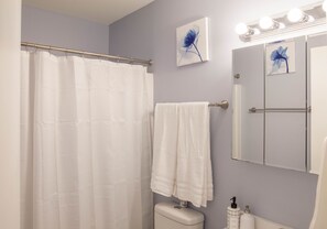 Hair dryer, towels, soap, toilet paper