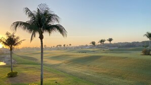 Un parcours de golf bordé de palmiers, sous un ciel dégagé.