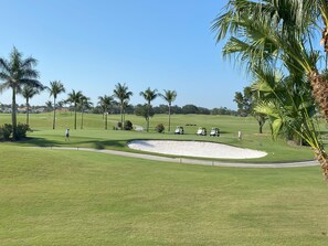 Un parcours de golf avec des bunkers de sable, des palmiers et des voiturettes de golf.