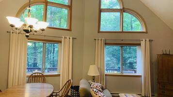 TV connectée, cheminée, jeux vidéo, lecteur de DVD