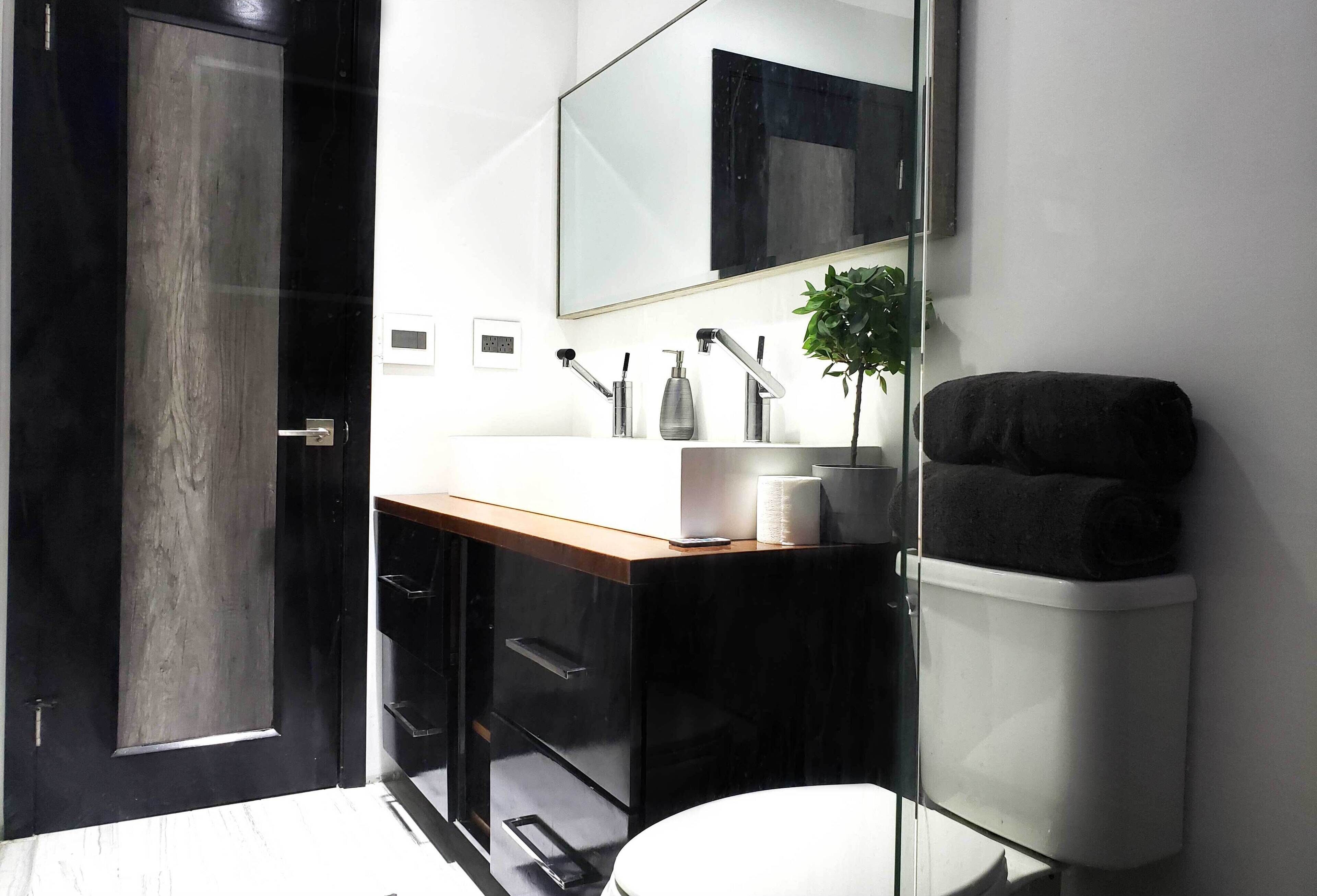 Een moderne badkamer met een zwarte deur, een witte wastafel, een spiegel, een toilet en een kleine potplant.