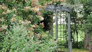 En pergola af træ omgivet af frodigt grønt og blomstrende planter.
