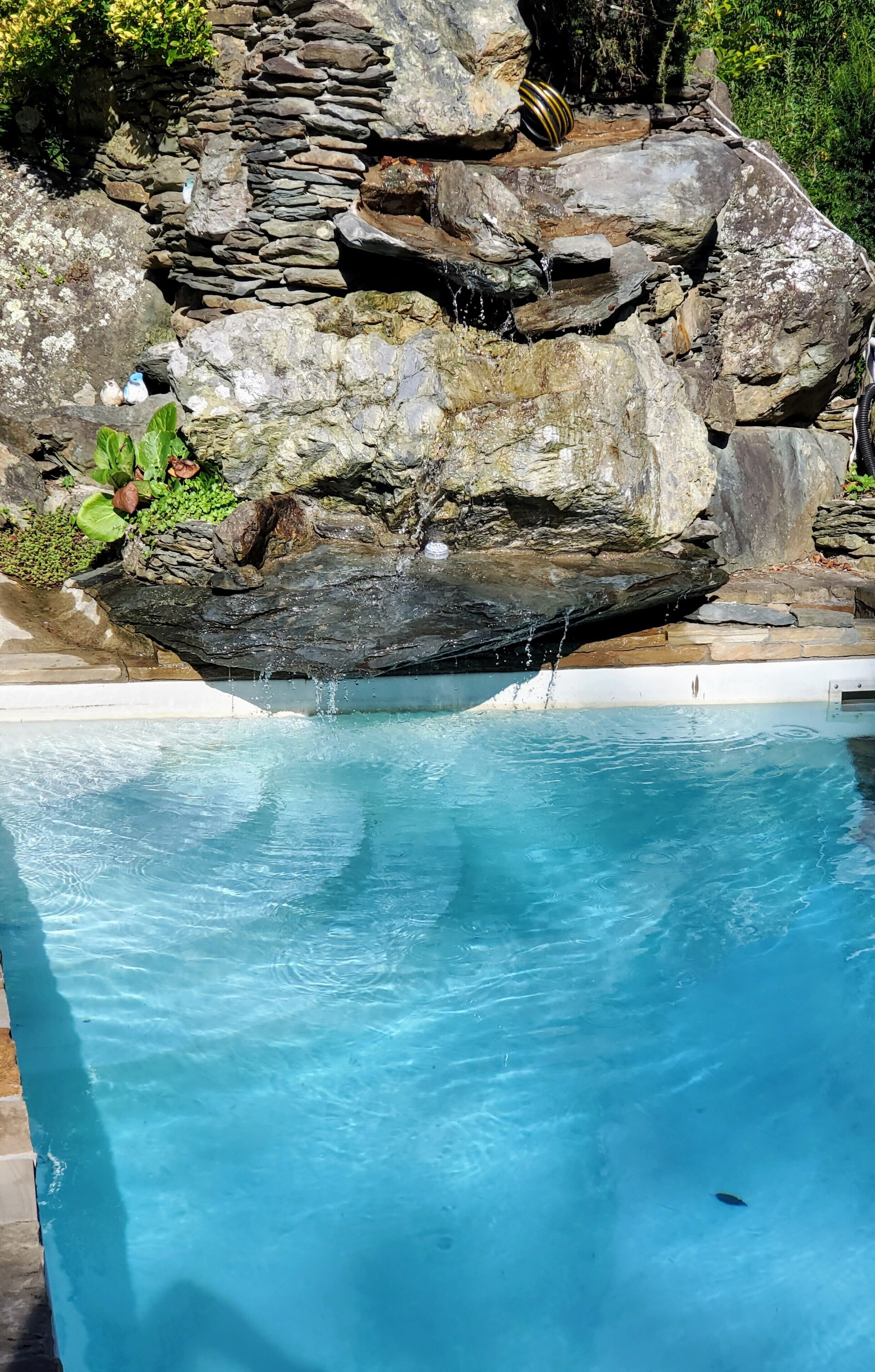 حمّام سباحة خارجي